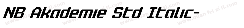 NB Akademie Std Italic字体转换